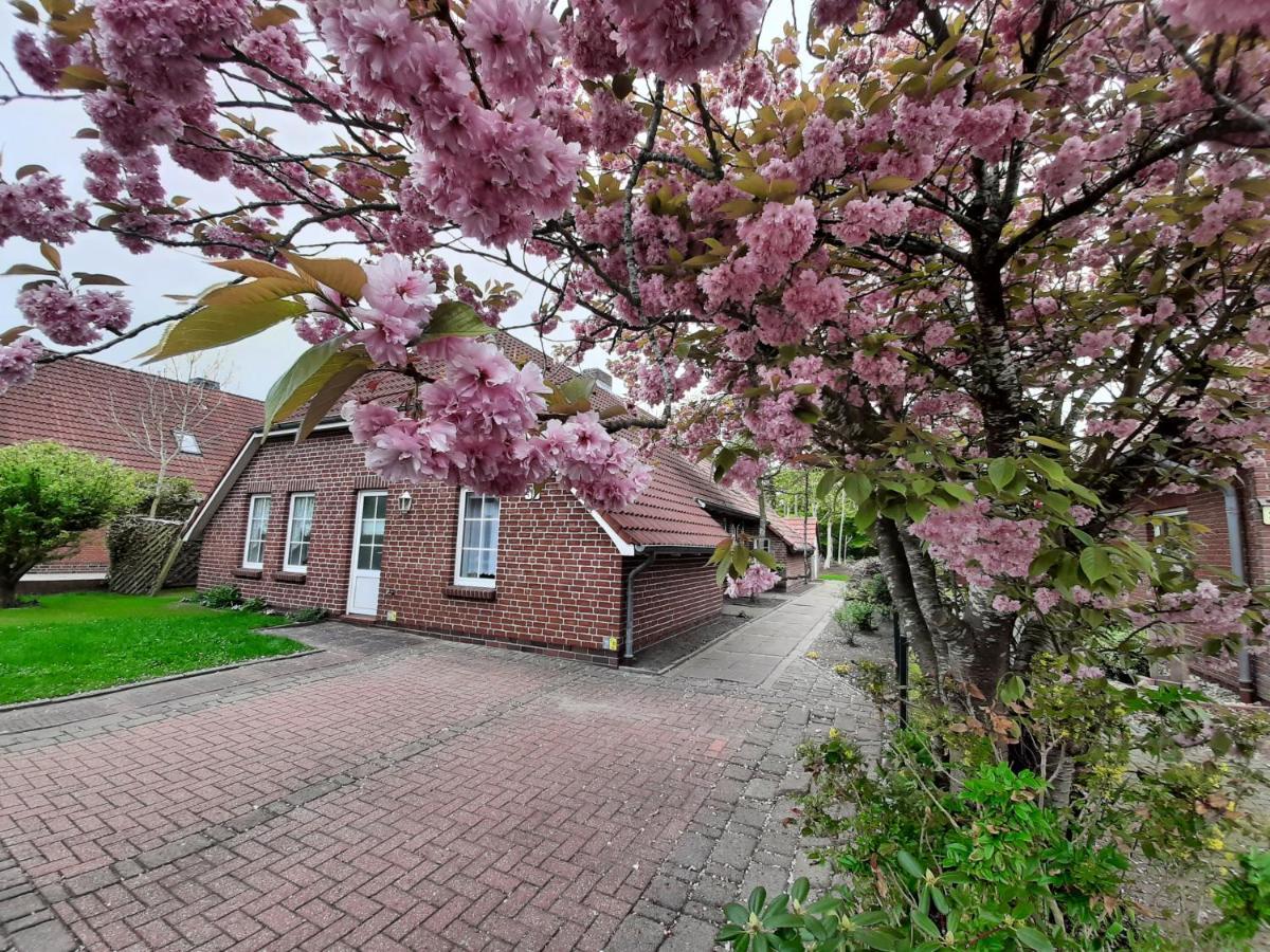 Ebbe Apartment Norden Exterior photo